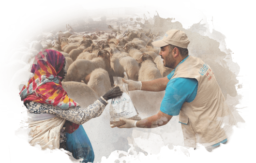Qurban Al-Aqiqa
